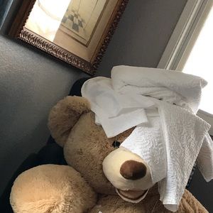 Meet your Posher, Faye